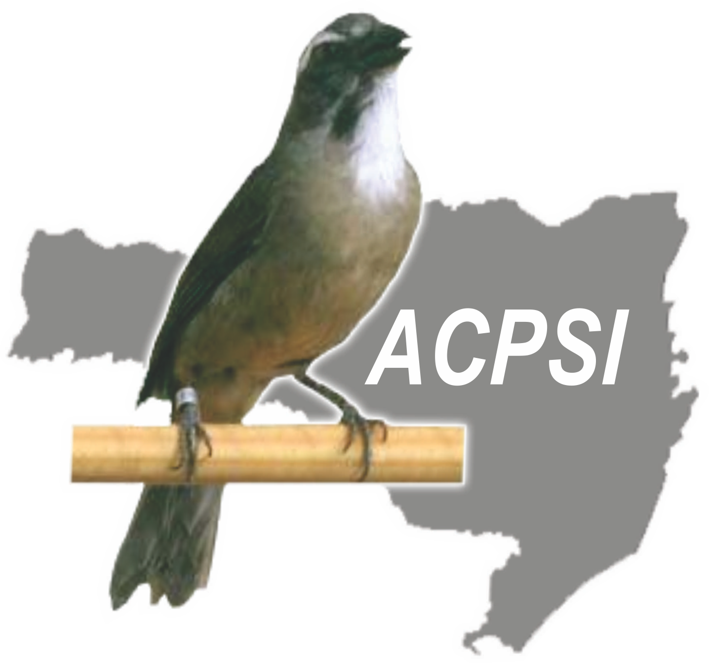 Logo da ACPSI - Associação dos Criadores de Pássaros Silvestres de Ituporanga.